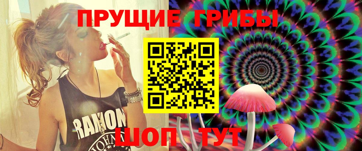 Галлюциногенные грибы Psilocybine cubensis Домодедово