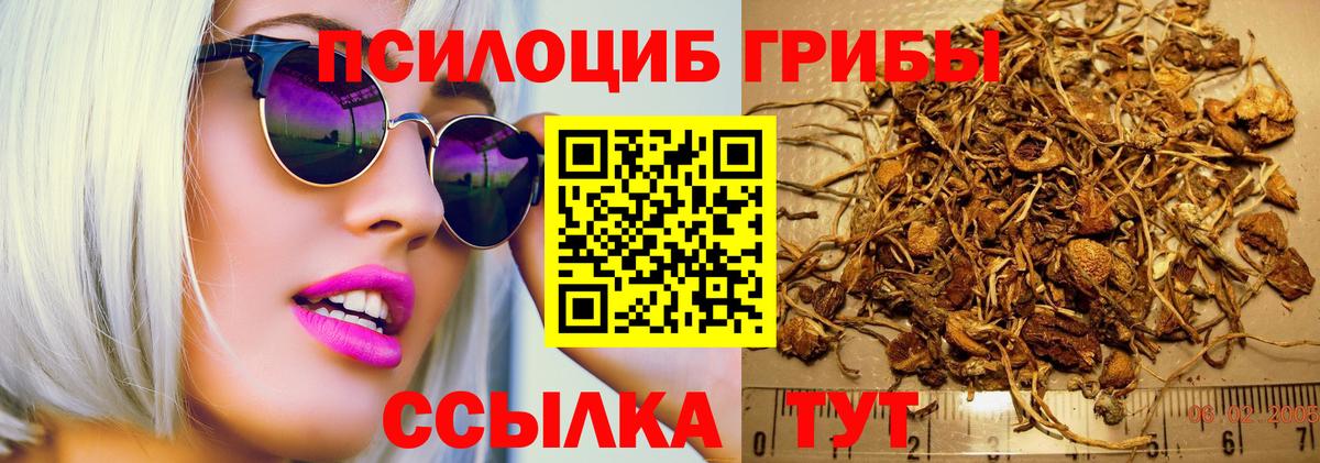 Домодедово  Псилоцибиновые грибы Psilocybe  Псилоцибиновые грибы MAGIC MUSHROOMS  Вход с VPN 
